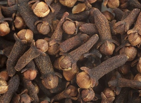 تصویر 3 از خرید و قیمت گیاه دارویی میخک + فروش صادراتی